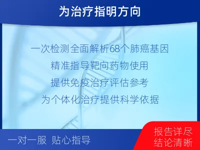 桃山-单样本-肺癌组织基因检测-报告解读