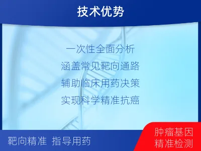 建始-单样本-肺癌血液基因检测-检测流程