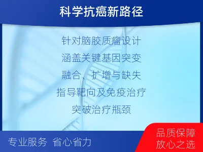 武强-双样本-脑胶质瘤组织基因检测-检测流程