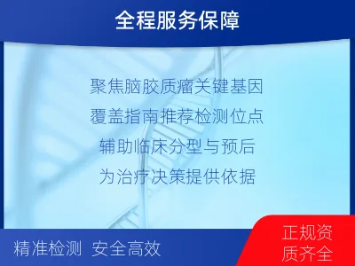 吉安-双样本-脑胶质瘤组织基因检测-报告解读