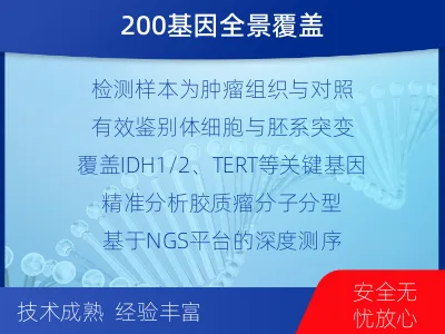 神木-双样本-脑胶质瘤组织基因检测-检测流程