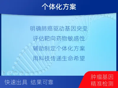 新兴-肺癌靶药基因检测-报告解读