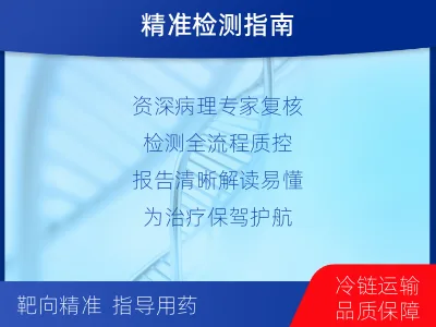 勃利-肺癌靶药基因检测-检测流程