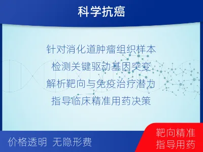 安平-单样本-消化道肿瘤组织基因检-检测流程
