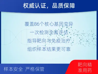 安平-单样本-实体瘤组织基因检测-报告解读