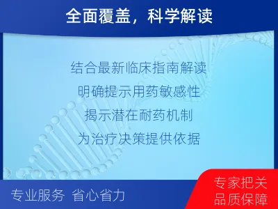 进贤-单样本-实体瘤组织基因检测-报告解读
