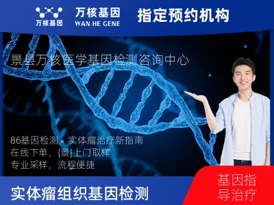 实体瘤组织86基因检测