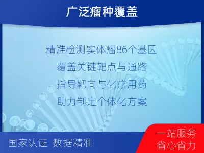 六合-实体瘤组织基因检测-检测介绍