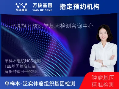 单样本-泛实体瘤组织188基因检测