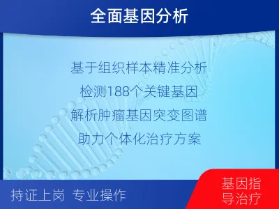 金湾-单样本-泛实体瘤组织基因检测-报告解读