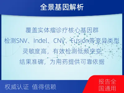 常宁-单样本-实体瘤组织基因检测-报告解读