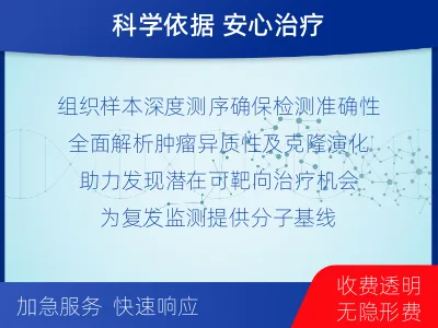 青原-实体瘤组织基因分子分型-适用人群
