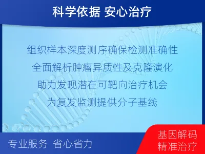 曹-实体瘤组织基因分子分型-适用人群