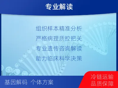 常宁-实体瘤组织基因分子分型-检测介绍