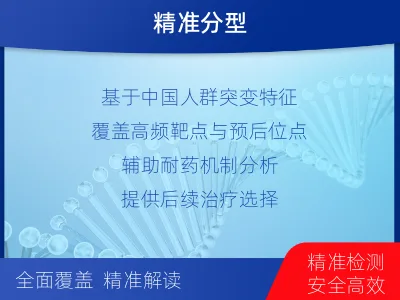 和政-实体瘤组织基因分子分型-检测介绍
