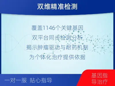 青原-泛实体瘤550DNA基因检测-适用人群