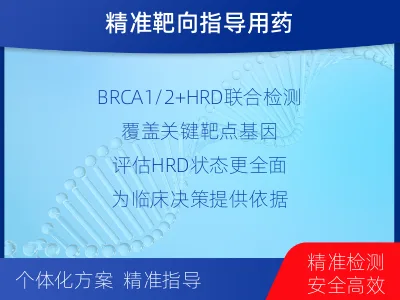 高淳-双样本-实体瘤组织BRCA1-检测流程