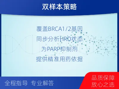 泰和-双样本-实体瘤组织BRCA1-检测流程