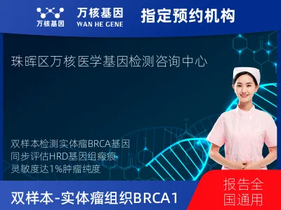 双样本-实体瘤组织BRCA1/2+HRD基因检测