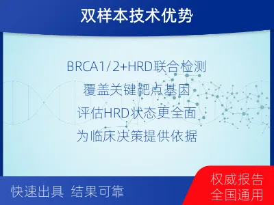 衡东-双样本-实体瘤组织BRCA1-检测介绍