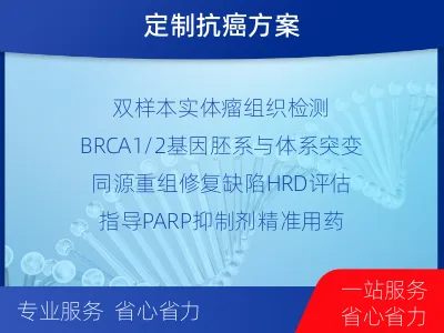 珠海-双样本-实体瘤组织BRCA1-适用人群