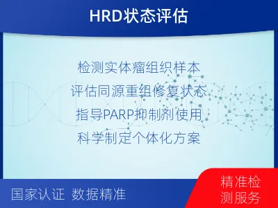 兴仁-双样本-实体瘤组织BRCA1-报告解读