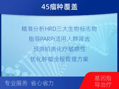 衡水-DNA损伤修复45-肿瘤同源-报告解读
