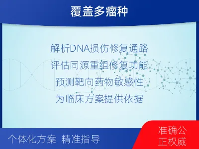 新干-DNA损伤修复45-肿瘤同源-检测介绍