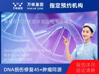 DNA损伤修复45+肿瘤同源重组缺陷（HRD）基因检测