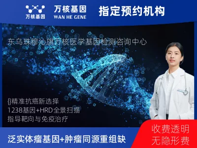 泛实体瘤1238基因+肿瘤同源重组缺陷（HRD）基因检测