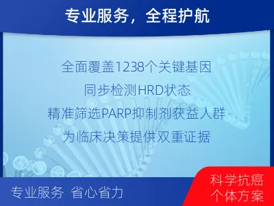江宁-泛实体瘤基因-肿瘤同源重组缺-适用人群