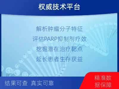 高淳-泛实体瘤基因-肿瘤同源重组缺-报告解读