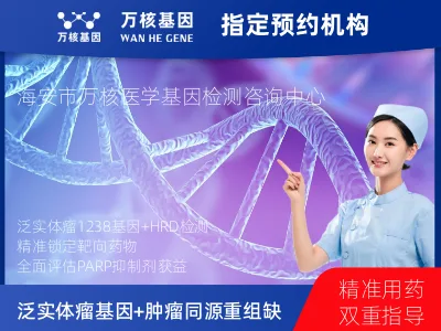 泛实体瘤1238基因+肿瘤同源重组缺陷（HRD）基因检测