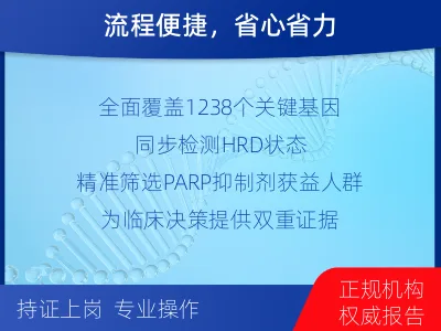 高州-泛实体瘤基因-肿瘤同源重组缺-检测介绍