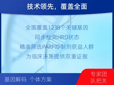 罗平-泛实体瘤基因-肿瘤同源重组缺-检测介绍