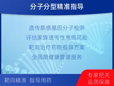 建邺-多癌种遗传易感基因分子分型-检测流程