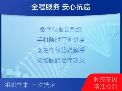 饶阳-E-单样本-甲状腺癌组织基因-报告解读
