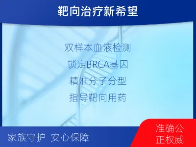 永泰-双样本-BRCA1基因血液分-报告解读