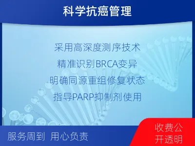 青云谱-双样本-BRCA1基因血液分-报告解读