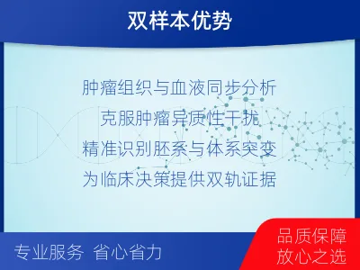 新建-双样本-BRCA1基因血液分-检测流程