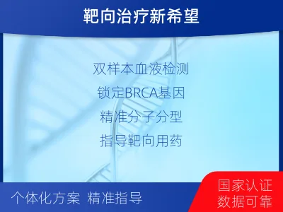 峡江-双样本-BRCA1基因血液分-检测流程
