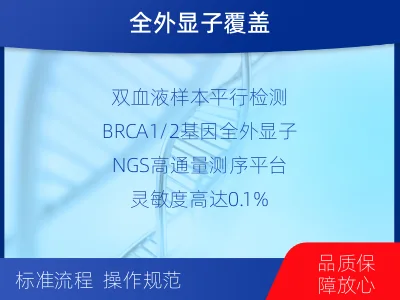 祁东-双样本-BRCA1基因血液分-适用人群