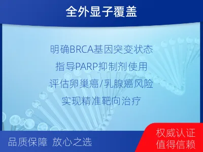 海西-双样本-BRCA1基因血液分-检测流程