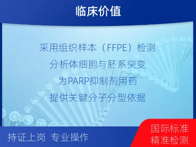 邱-单样本-BRCA1基因组织分-检测介绍