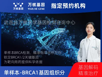 单样本-BRCA1/2基因组织分子分型研究