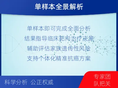 临河-单样本-BRCA1基因组织分-检测流程