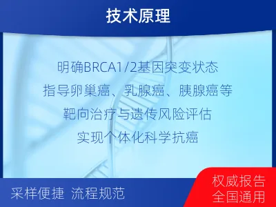 桃山-单样本-BRCA1基因组织分-适用人群