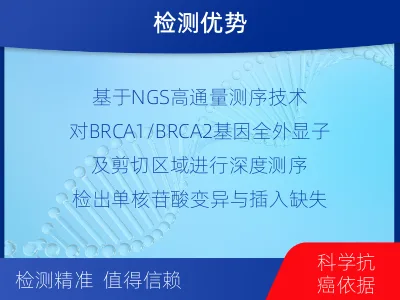 南京-单样本-BRCA1基因组织分-检测流程