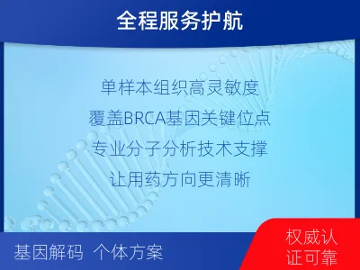 进贤-单样本-BRCA1基因组织分-适用人群
