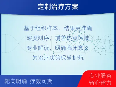 定陶-单样本-BRCA1基因组织分-检测流程